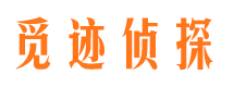 安岳市私家调查